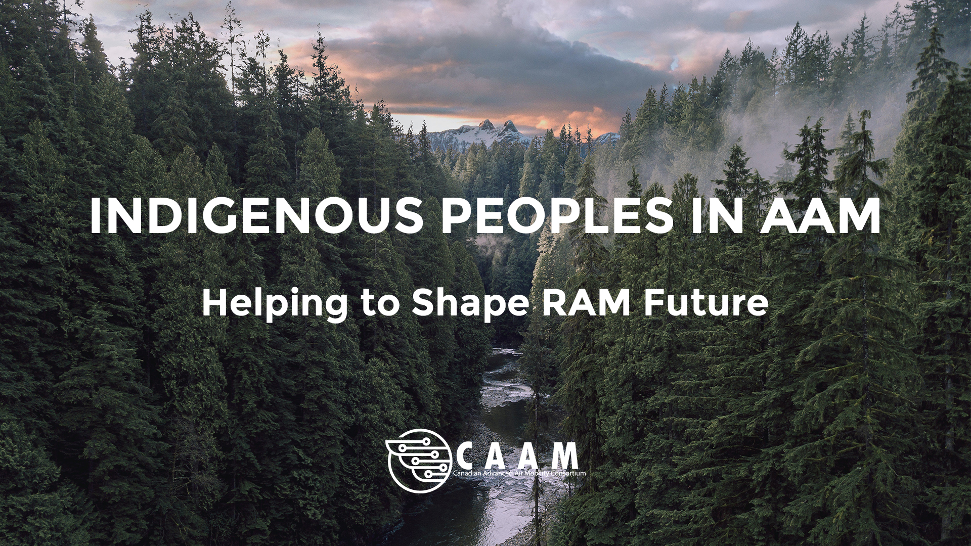 Indigenous Peoples in AAM: Shaping the future of RAM