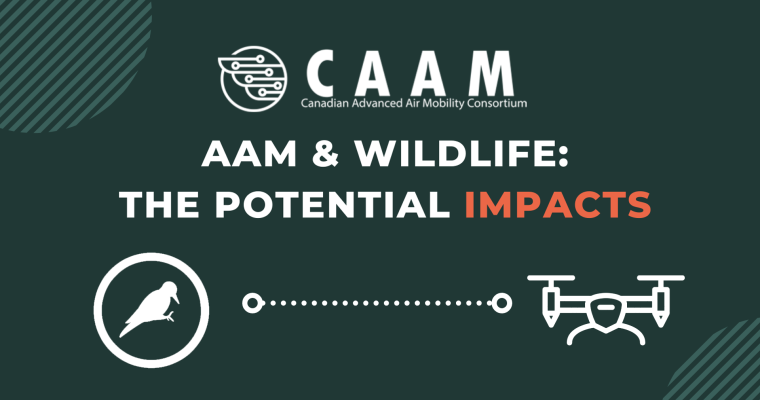 AAM and wildlife: The potential impacts