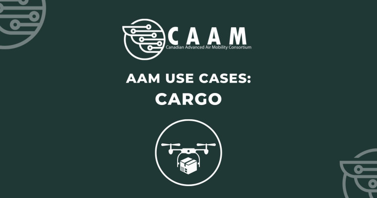AAM use cases: Cargo