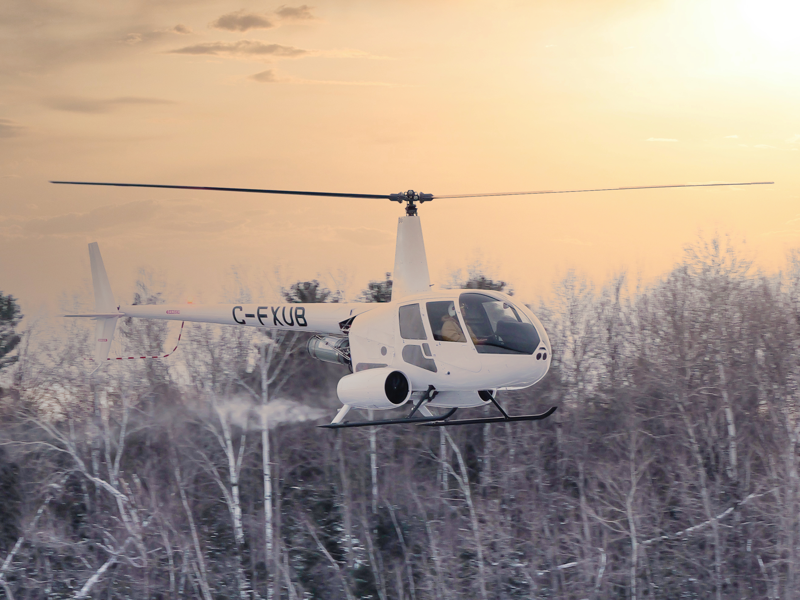 Robinson R44